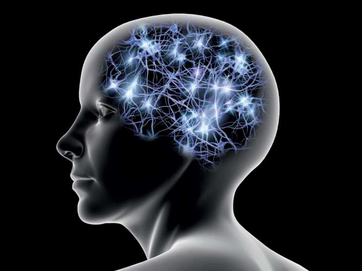 Psychologie